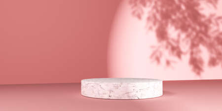 Podium in a room with shadow of tree - 3Dの写真素材