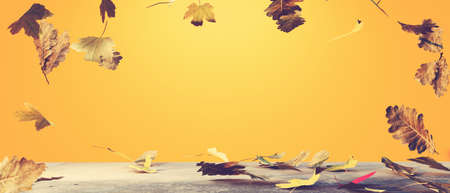 Autumn seasonal background with falling leaves - 3D