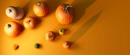 Autumn pumpkins - Harvest and Thanksgiving theme - 3d