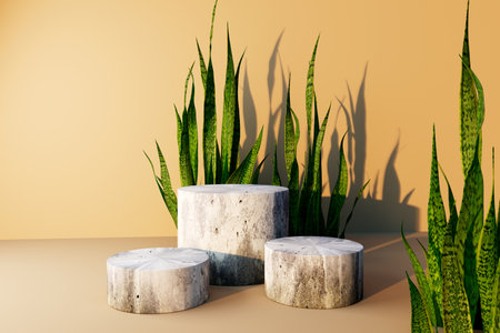 Snake plant with white stone podiums - 3Dの写真素材