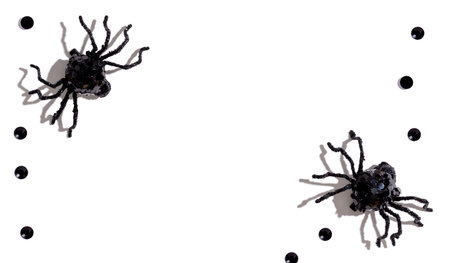 Halloween black spidersの写真素材