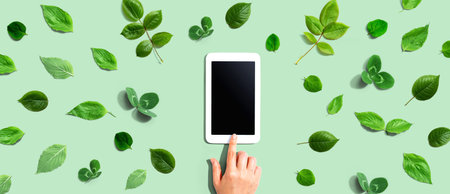 Green leaves with a tablet computeの写真素材