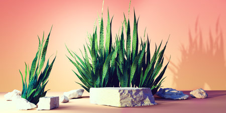 Snake plant with white stone podiums - 3Dの写真素材
