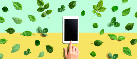 Green leaves with a tablet computeの写真素材