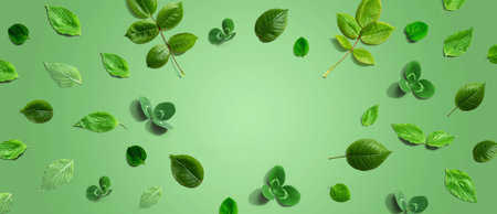 Green leaf frame design backgroundの写真素材