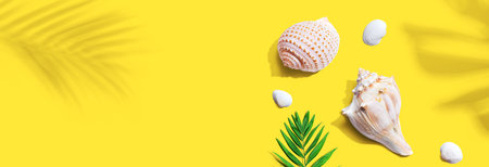 Summer concept with seashells and a palm leafの写真素材