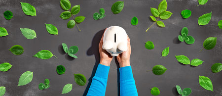 Person holding a piggy bank with green leavesの写真素材