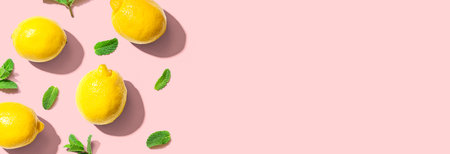 Fresh yellow lemons with mints overhead viewの写真素材