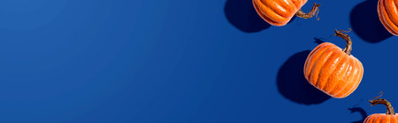 Autumn orange pumpkins overhead viewの写真素材