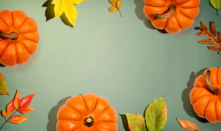 Autumn pumpkins with colorful leaves overhead viewの写真素材