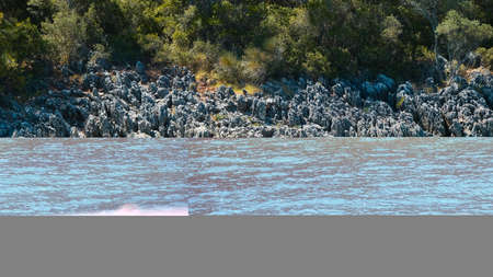 Coast of the Adriatic Sea near Dubrovnik, Croatiaの写真素材