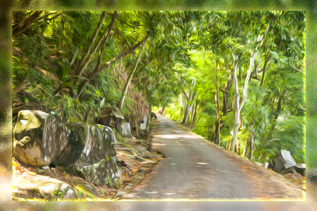 road in the woods in the Seychelles brush oil picture in a glass frameの写真素材