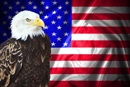 Happy Labor day banner, american patriotic background. American Bald Eagle - symbol of america -with flag.の写真素材