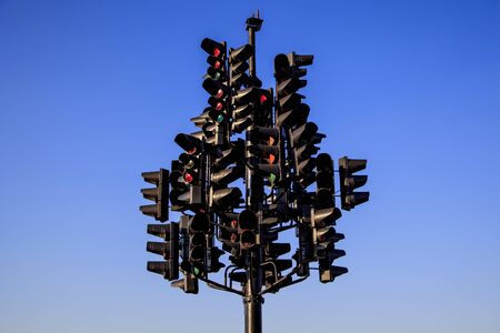 traffic light in the form of a large tree