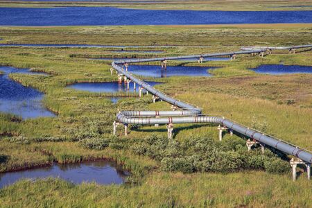 Gas pipelines, crane and pipes for gas and oil transportation, against the backdrop tundraの写真素材
