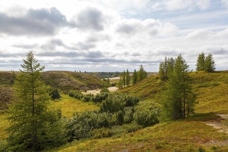 Beautiful landscape of forest-tundra,の写真素材