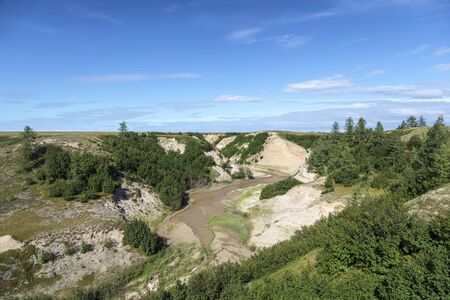Beautiful landscape of forest-tundra,の写真素材