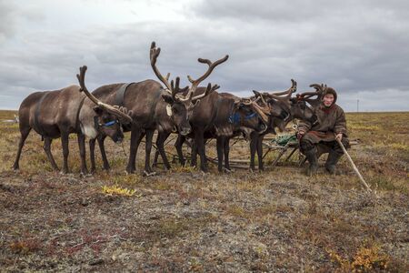 Tundra, open area, assistant reindeer breeder,  the men  in national clothesの写真素材