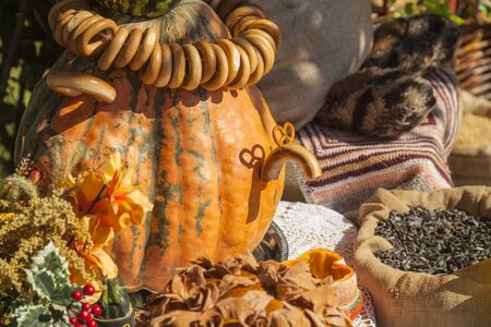 golden autumn, large different pumpkins, Different varieties of pumpkins, a wooden cart with pumpkins,Funny crafts made of pumpkins, Pumpkin figures: a teapotの写真素材