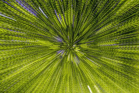 Multicolored, bright abstract background  blurry in motion, Bright New Year background, green colorの写真素材