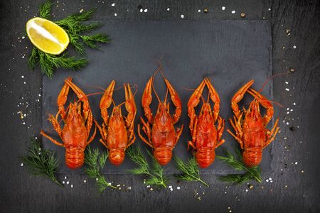 Boiled and cooked crayfish  on black background,with lemon and dillの写真素材