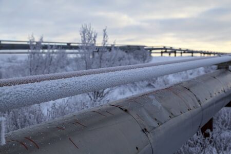 Oil, gas industry. High pressure gas well, pipe fittings, valves in frost in the frostの写真素材