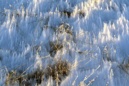 Tree branches frozen in the ice. Frozen tree branch in winter forest.Frozen waterfall; Snow, frost close up,  a snowflake in natural surroundingsの写真素材