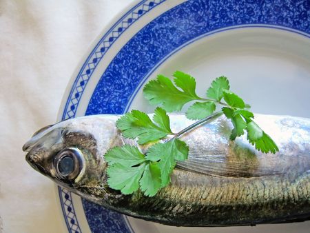 Mackerel fish on a plate with a piece of coriander herb.の写真素材