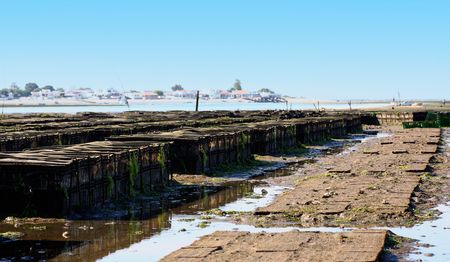 Oyster exploration site at the shoreline of a beach, featuring several cases used to grow the oyster.の写真素材