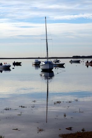 Several boats achored at shore on the early morning.
