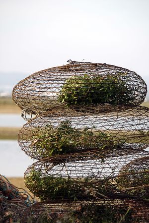 View of some piled crab and other crustacean traps on a beach.の写真素材