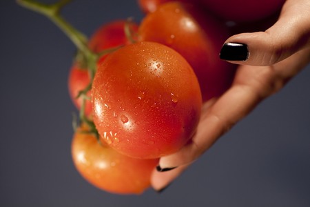 View of a woman hands holding a group of red tomatoes.の写真素材