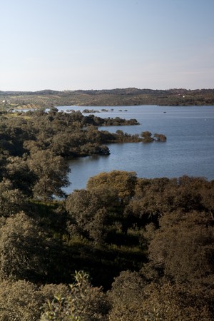 Beautiful view of the Alqueva region on the Alentejo, Portugal.の写真素材
