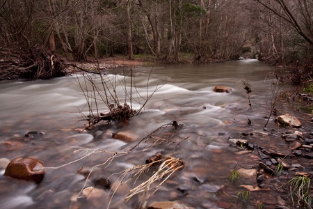 View of a river stream on the forest in the winter.