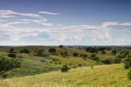 Landscape view of the interior of the Algarve with green hills and scattered trees.の写真素材