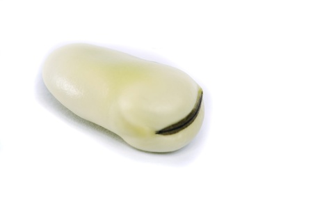 Close up view of a lonely broad bean isolated on a white background.