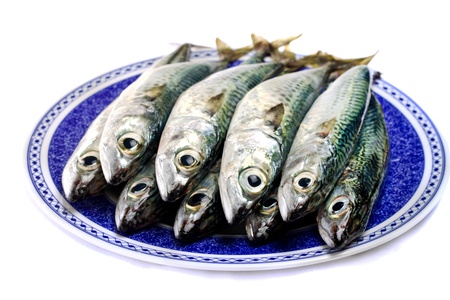 Close detail view of a dish filled with Atlantic mackerel fish isolated on a white background.の写真素材