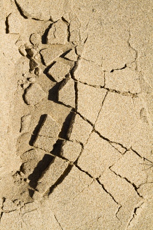 Close view of a background texture of broken wet sand in the beach.の写真素材