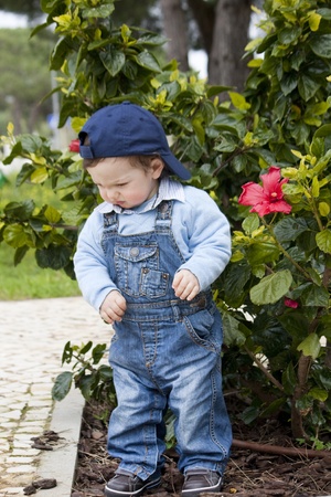 View of a young child next to a small plant.の写真素材