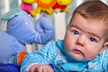 View of a newborn baby with a stuffed toy.