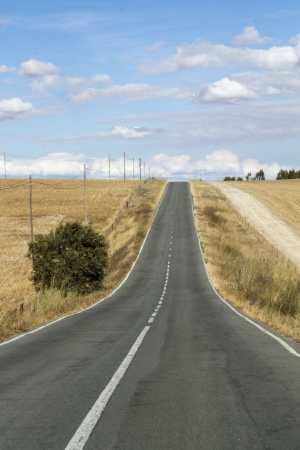Long asphalt road on a dry land with white clouds in the sky.の写真素材