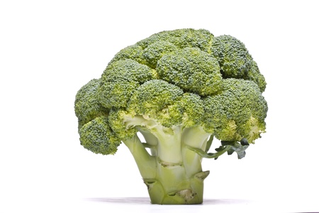 Close view of a piece of broccoli vegetable isolated on a white background.の写真素材