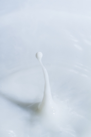 Close view of a droplet of milk hitting a surface of milk. の写真素材