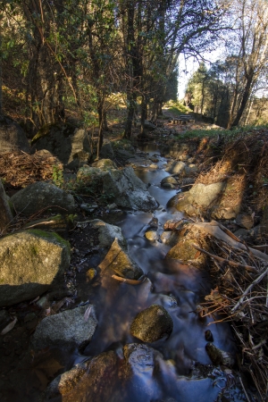 Beautiful view of a fresh flowing creek in a healthy forest.の写真素材