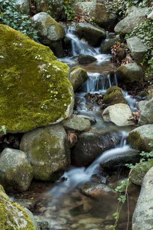 Beautiful view of a fresh flowing creek in a healthy forest.の写真素材