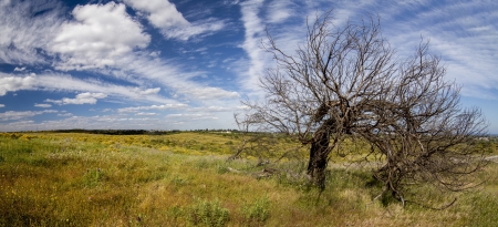Beautiful view of the rural countryside of the Algarve region.の写真素材