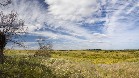 Beautiful view of the rural countryside of the Algarve region.の写真素材