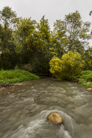 View of a river stream on the beautiful Monchique region on Portugal on a dark cloudy day.の写真素材