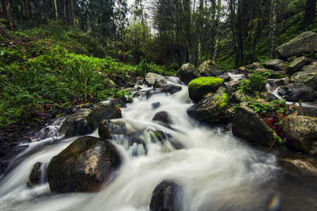 View of a river stream on the beautiful Monchique region on Portugal.の写真素材
