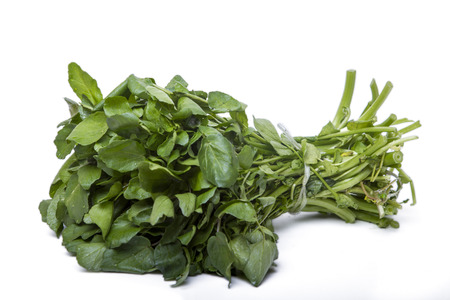 Close up view of a bunch of fresh watercress isolated on a white background.の写真素材